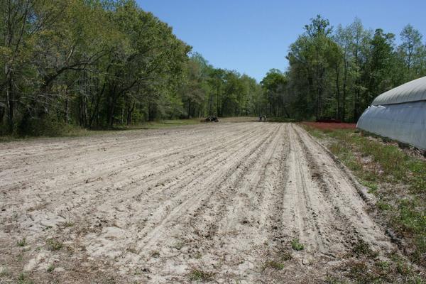 Figure 10. Fields are ready for planting at the Onslow County In